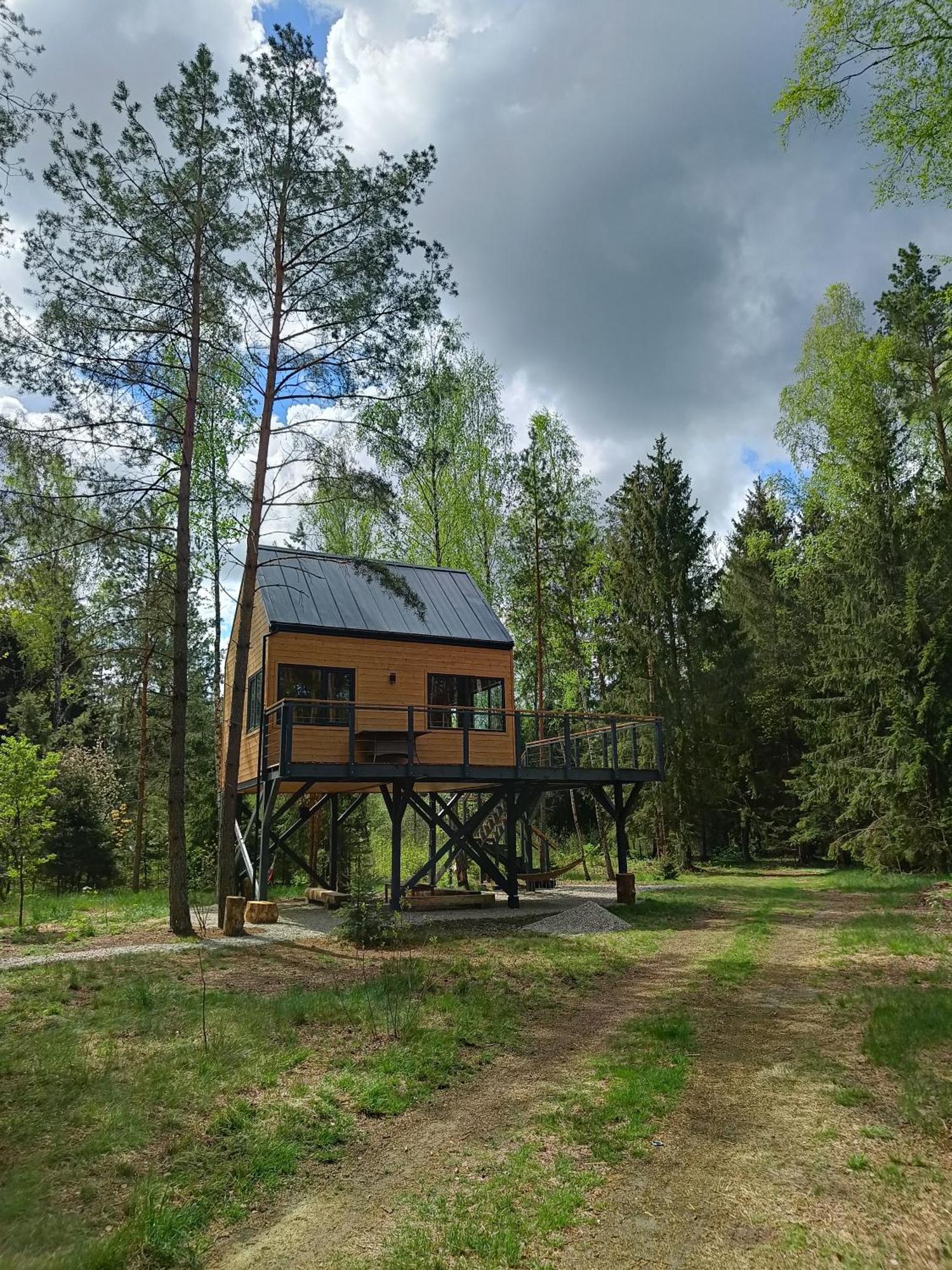 Zdalnie Z Lasu - Siedlisko W Puszczy Bialowieskiej Narewka Exterior foto